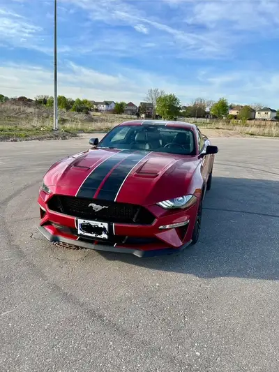 Hello, you are looking at basically a brand new top of the line, fully optioned Ford Mustang GT Prem...