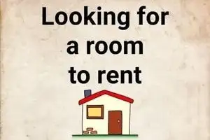 Looking for a clean, quiet, long term rental.
