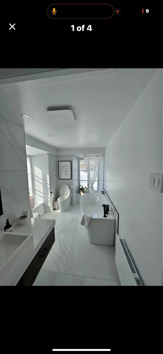 professional painter available 456524654004807680