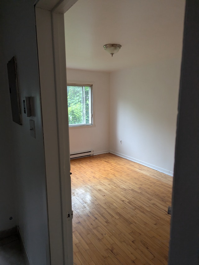 Nice large 4 1/2 st Leonard — photo 2