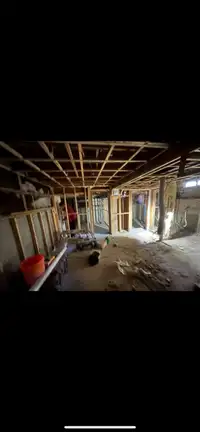 Demolition, Asbetos, Mold, Mice, Mouse, Abatement 