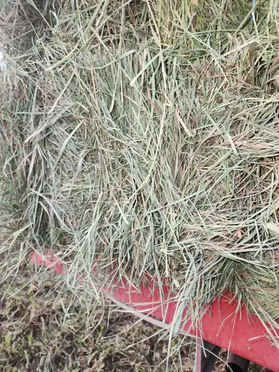 hay for sale , View more