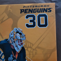 Pittsburgh Penguins Goalie 