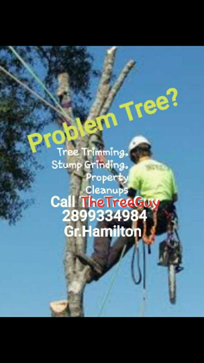 TheTreeGuy Property Services.  Greater Hamilton 2899334984