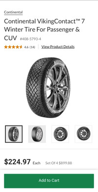 Winter Tire (Continental 225 65 R17)