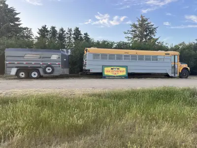 sheep and goats, View more