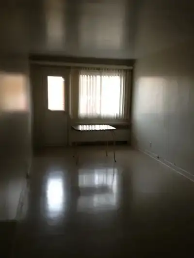 Cession de bail – Grand 1 1/2 à proximité du métro Beaubien Superficie : 495 pi² (46 m²) Disponible...