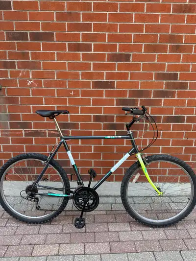 MEN SIZE LARGE VINTAGE TALEIGH HYBRID CITY MOUNTAIN BIKE, View more