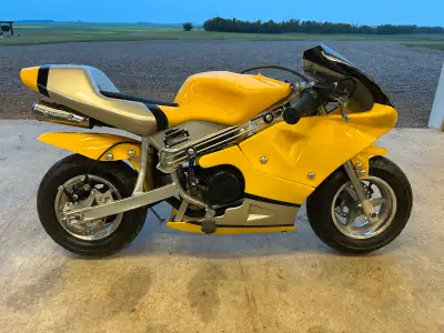 2009 pocket bike, 47cc like brand new, had gas put in it for first time and driven for a couple minu...