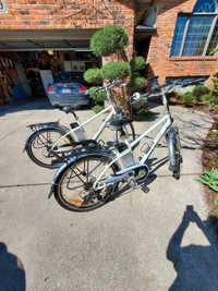 A pair of Cemoto electric bikes. $550 each