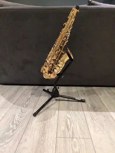 saxophone alto  Eastar et accessoires, View more