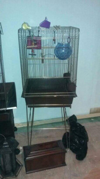 Cage a oiseaux pour perruches ou autres oiseux sur roulettes.