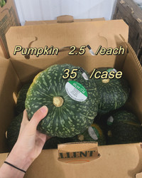 Kabocha pumpkin M