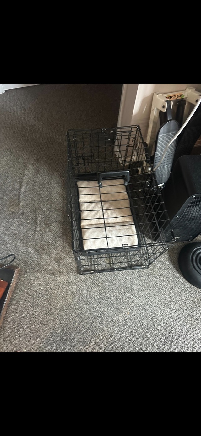 Small dog crate 4 sale  in Accessories in Cambridge - Image 3
