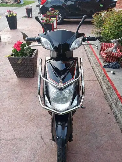 Emmo Hornet for Sale , View more