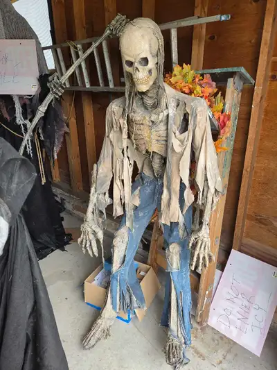 Add a spine-chilling touch to your collection with this high-end professional Scarefactory skeleton...