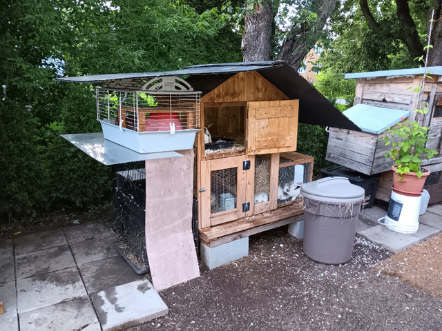 Cages et plusieurs maison pour lapins a Vendre dans Animaux de ferme  à Ville de Montréal - Image 4
