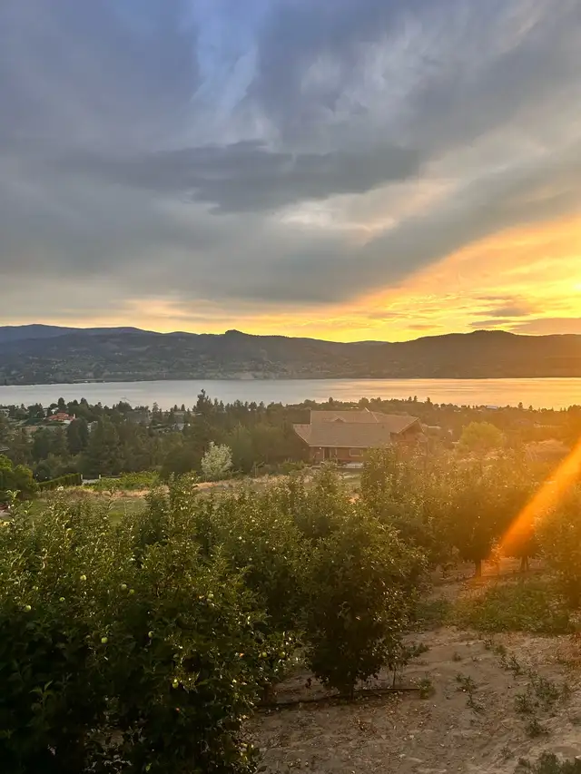 help me please 65502582061698120