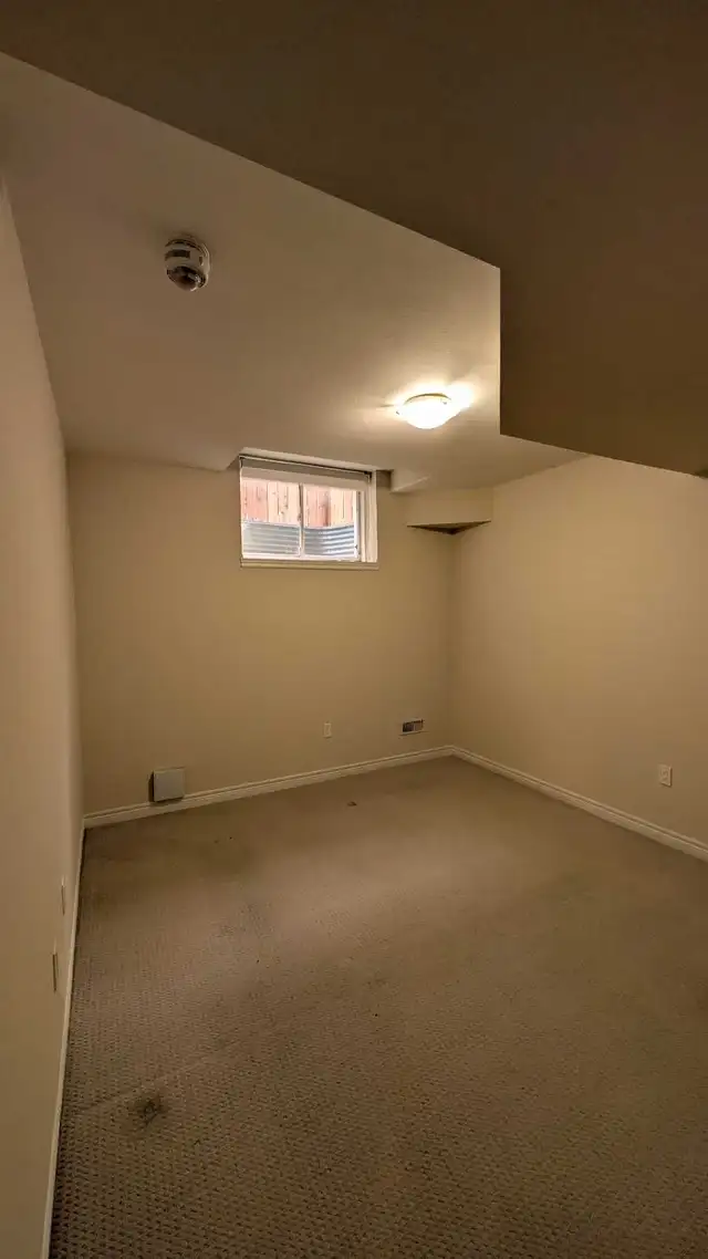 Painter, construction525303516664309763
