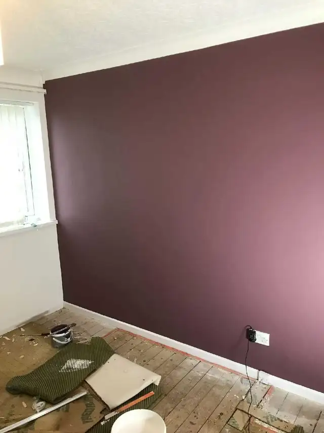 PROFESSIONAL PLASTERER 593256049374013444