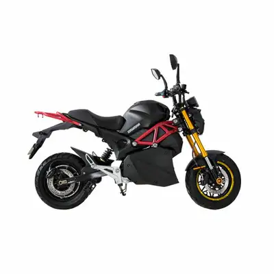 DAYMAK ROGUE ELECTRIC MOTORCYCLE , View more