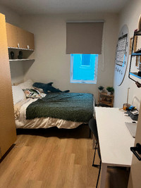 Summer Student Apartment Sublet