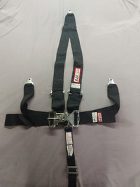 RJS 5 point harness