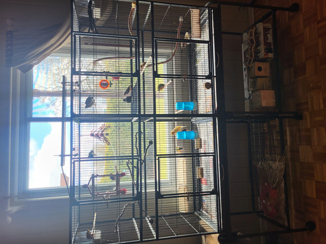 Volière  double 60 longeur x 18 largeur x 63 haut  tout équipé dans Oiseaux à adopter  à Laval/Rive Nord