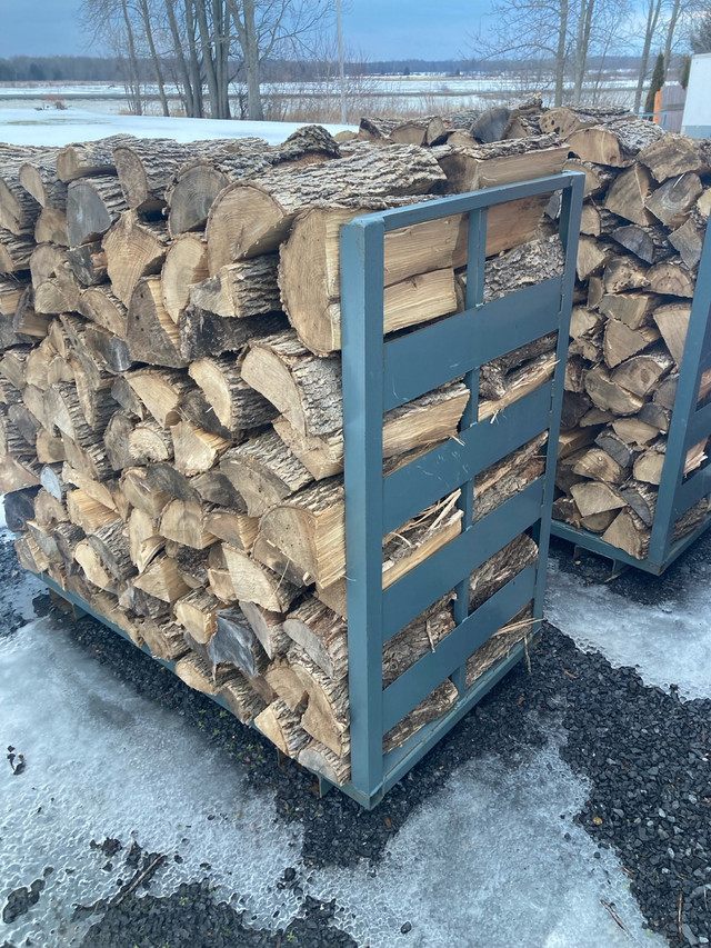 Seasoned ash firewood  in Other in Cornwall - Image 3