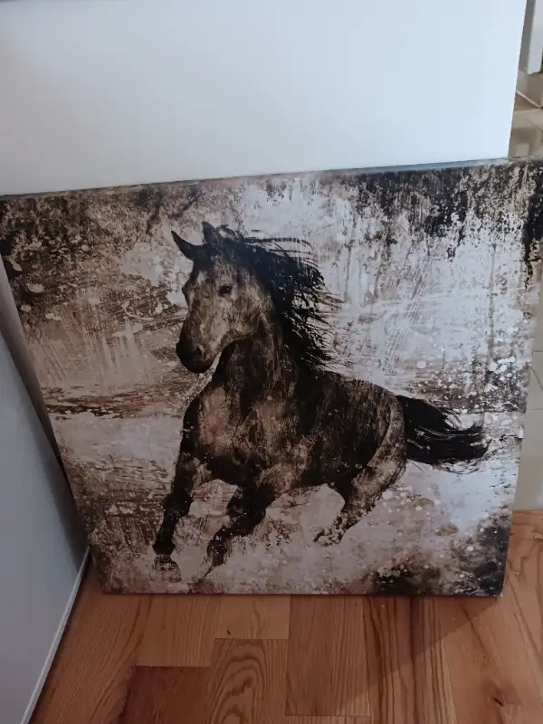 cadre de cheval 24 x 24" in Home Décor & Accents in Edmundston - Image 2