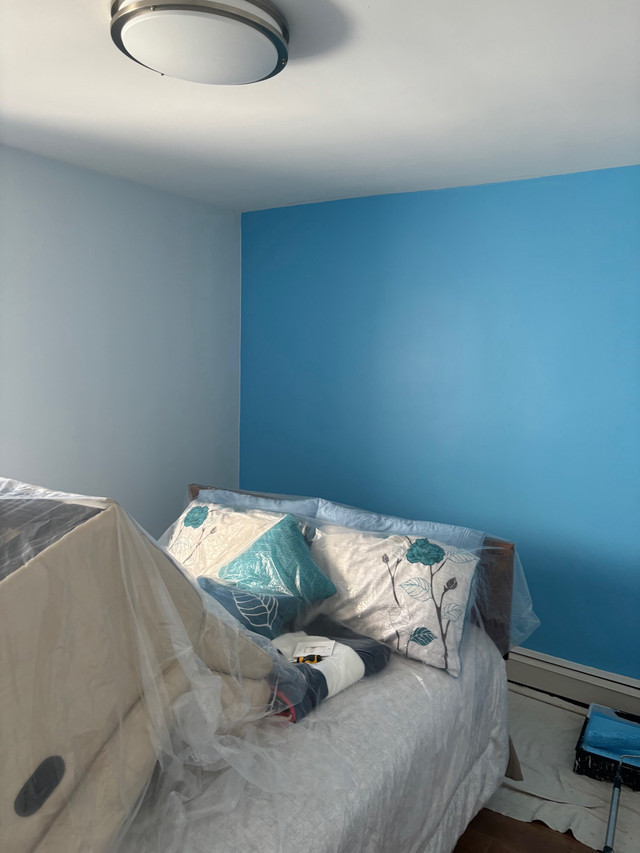 Professional Exterior and Interior Painter in Painters & Painting in St. Catharines - Image 2