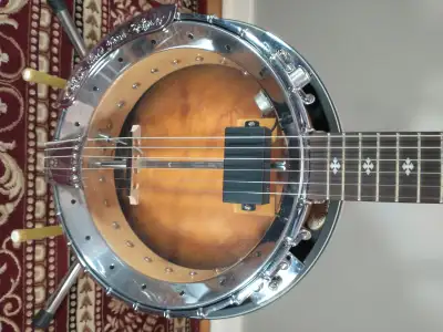 Gold Tone GT-500 6-String Banjo (Banjitar), View more