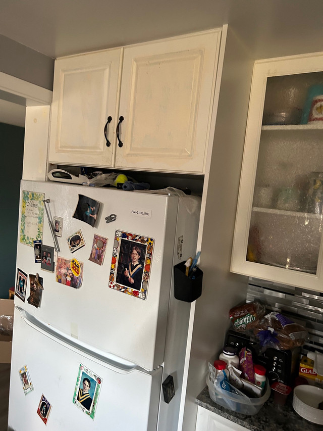 Kitchen cupboard  dans Autre  à Trenton - Image 2