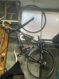 Jamis, Ventura Sport pedal bike
