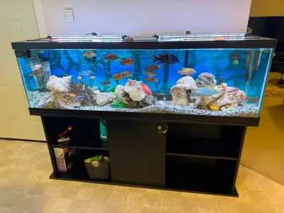 Aquarium, View more