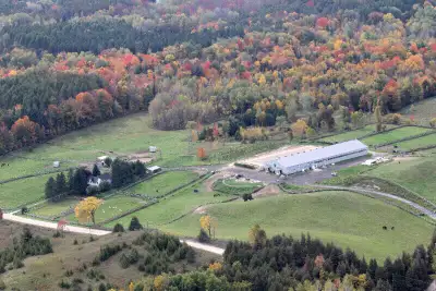 Welcome to our equestrian boarding facility located in beautiful King Township on a tranquil 48 acre...