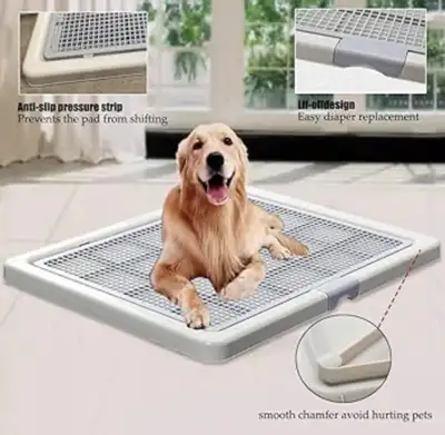 Dog Training Pad, View more