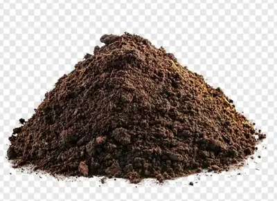 Free clean dirt wanted , View more