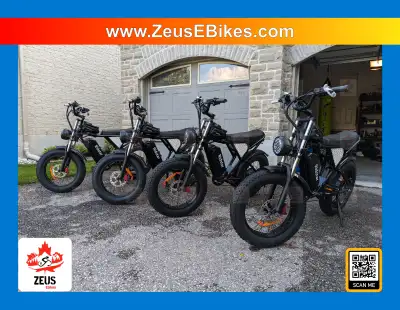RIDSTAR Q20 1500W: The Ride of a Lifetime! www.ZeusEbikes.com, View more