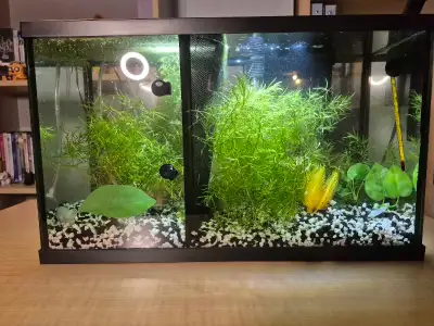 aquarium ten gallon , View more