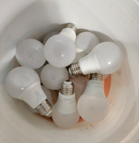 20 LED Bulbs