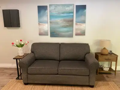 Decor rest double pull out sofa bed , View more