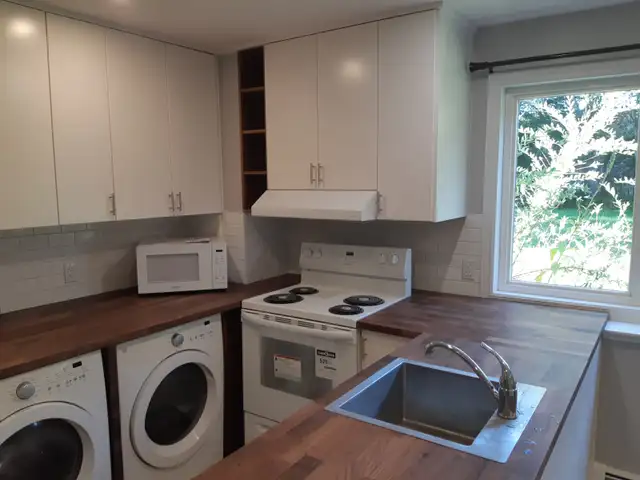 Newly Renovated One-Bedroom Apartment for Rent (Max 2 persons) in Long Term Rentals in Charlottetown - Image 3