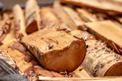 BEST FIREWOOD IN CALGARY CHECK FOR MONTHLY PROMOTIONS, View more