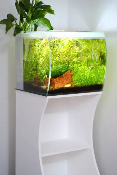 Fluval Flex 15g - Full setup, established aquarium, View more