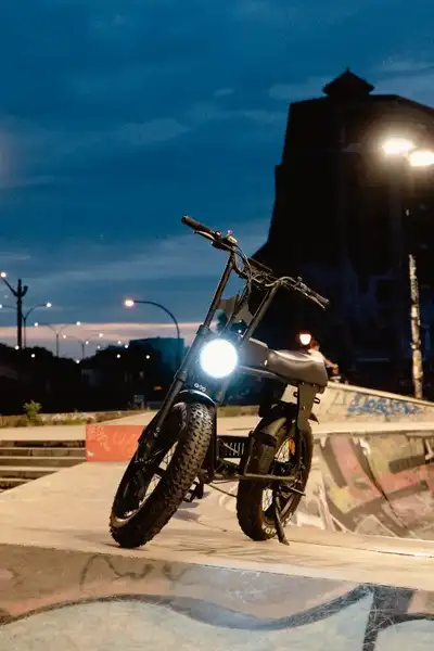 Vélo électrique (fatbike 2 places: VOLT E-Bike) (Ottawa), Voir plus