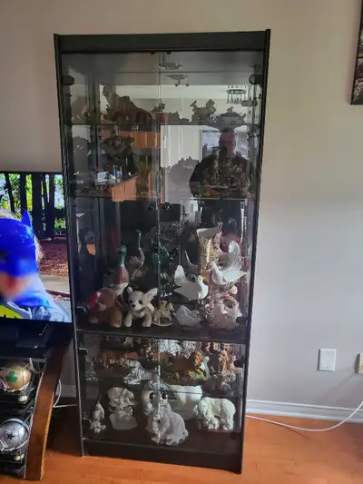 Display cabinet with light, View more