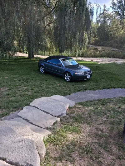 ready for spring, no need to say more