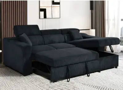 Huge Sale  Brand New Pull-Out Sofa Bed with Storage and Comfort, View more