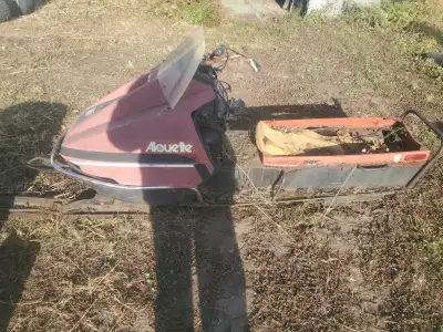 Allouette Escort 295. Fairly complete but the tub is rotted out and the engine is siezed. Probably b...